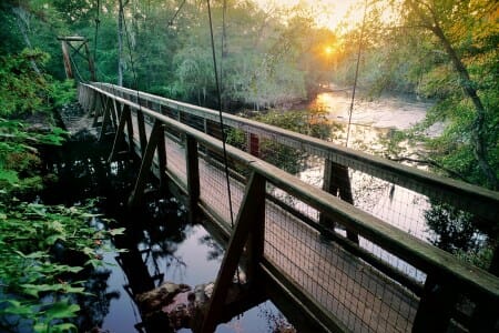 JohnMoranBridgeToThePast low res450 In: OUR MISSION | Our Santa Fe River, Inc. (OSFR) | Protecting the Santa Fe River