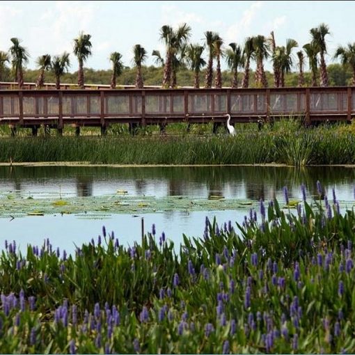 PALMER OPED In: Facts About Stormwater and Alachua County That We Need to Know | Our Santa Fe River, Inc. (OSFR) | Protecting the Santa Fe River