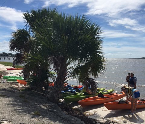 augpaddle2
