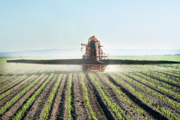 fertilizer In: “Avoid palliative solutions, and treat etiologically.” See Meaning Below | Our Santa Fe River, Inc. (OSFR) | Protecting the Santa Fe River