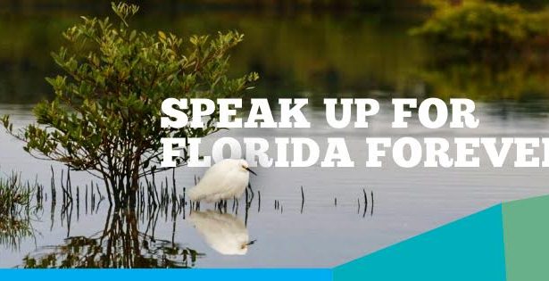 speak-up-for-fl