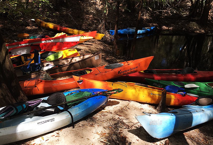 paddleoct-sandy