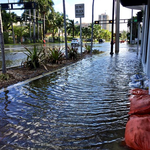 kingtide2. In: Some Deny, But Those There Are Noticing - King Tides Will Return | Our Santa Fe River, Inc. (OSFR) | Protecting the Santa Fe River