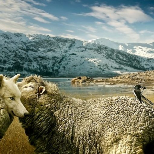 wolves_in_sheep__s_clothing_by_chrigi76-d33382c