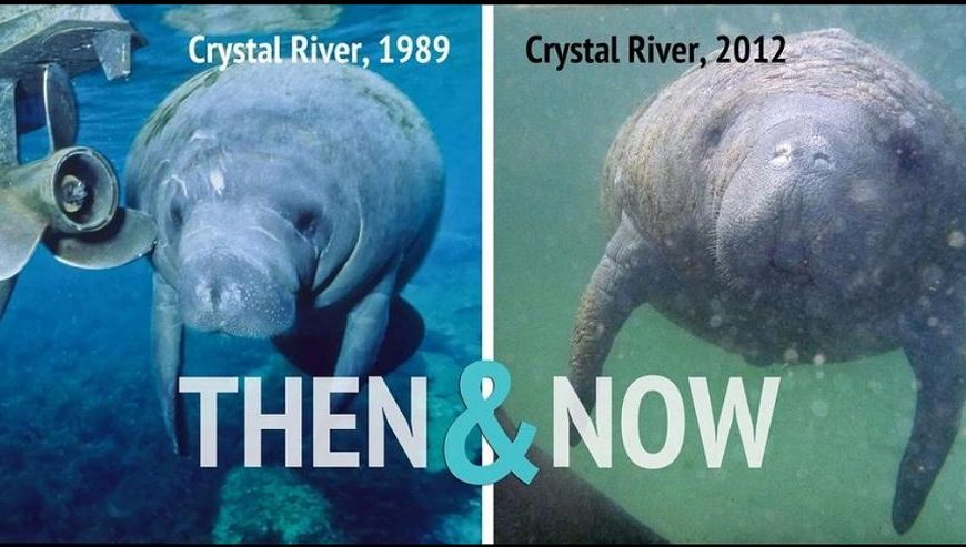 crystal-river