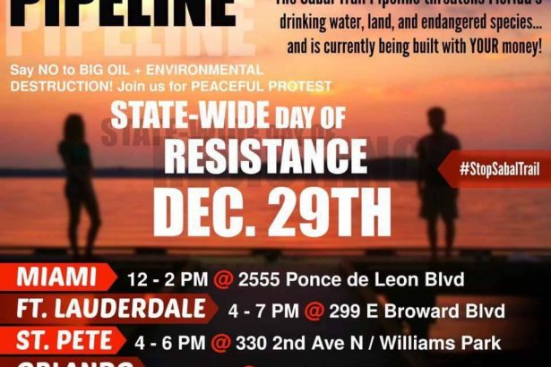 demonstration In: Dec. 29 Sabal Trail Actions Five Locations | Our Santa Fe River, Inc. (OSFR) | Protecting the Santa Fe River