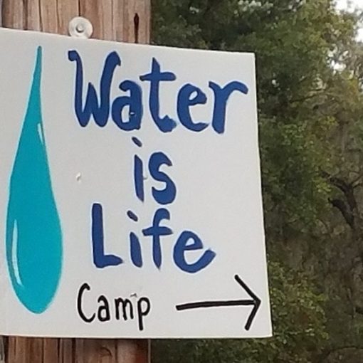 later is life campo\