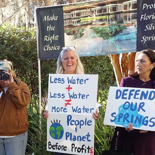 SJRWMDpamcindy In: Deny the Permit Rally at St Johns | Our Santa Fe River, Inc. (OSFR) | Protecting the Santa Fe River