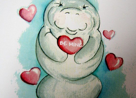 paddlemanatee2 In: I Love Manatees But I Don't Bother Them Valentine Paddle | Our Santa Fe River, Inc. (OSFR) | Protecting the Santa Fe River
