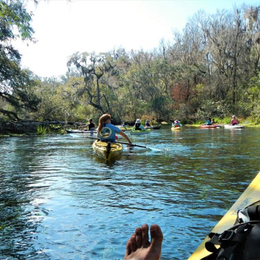 Group of paddlers