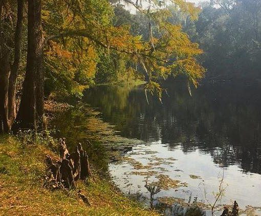 santafe cleanjup In: Santa Fe River Clean-Up and Picnic Suwannee North Florida Working Group - SSJ Sierra Club | Our Santa Fe River, Inc. (OSFR) | Protecting the Santa Fe River