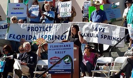 troubled waters 1 In: Editorial: 'Troubled Waters' a Call to Action for Saving Florida's Lifeblood | Our Santa Fe River, Inc. (OSFR) | Protecting the Santa Fe River