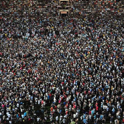 crowd