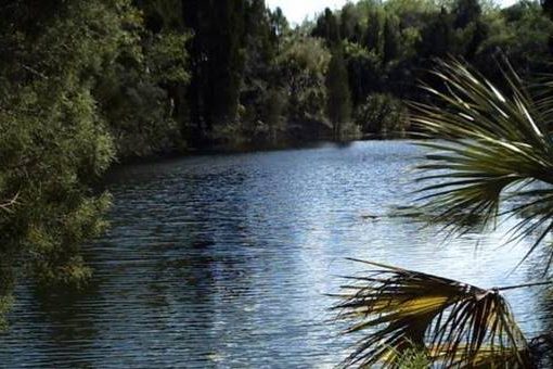 BOB IMAGE In: Florida’s Water Seems Free For The Taking — At A Cost To The Rest Of Us | Our Santa Fe River, Inc. (OSFR) | Protecting the Santa Fe River
