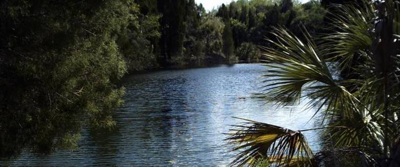 BOB IMAGE In: Florida’s Water Seems Free For The Taking — At A Cost To The Rest Of Us | Our Santa Fe River, Inc. (OSFR) | Protecting the Santa Fe River
