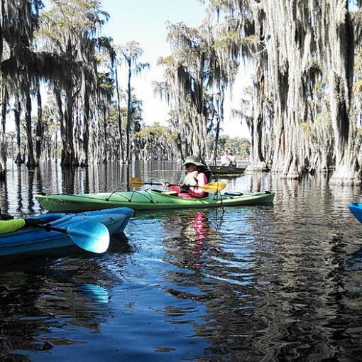 SF river paddles In: Florida Residents Concerned About Possible Effects of Pipeline on Their Health | Our Santa Fe River, Inc. (OSFR) | Protecting the Santa Fe River