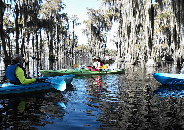 SF river paddles In: Florida Residents Concerned About Possible Effects of Pipeline on Their Health | Our Santa Fe River, Inc. (OSFR) | Protecting the Santa Fe River