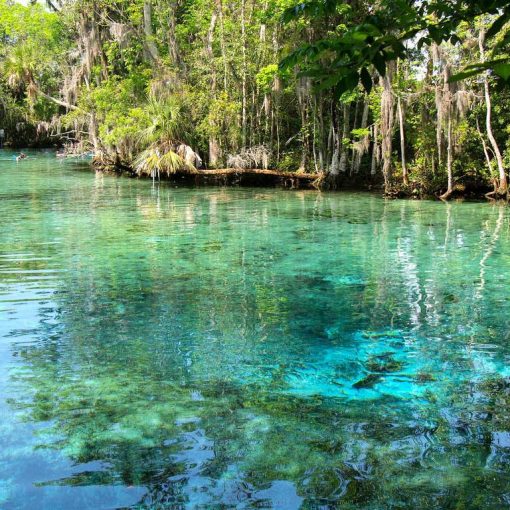 crystal-river-2
