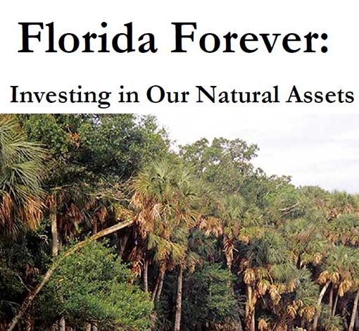 floridaforever In: Time Is Short, Please Make a Call | Our Santa Fe River, Inc. (OSFR) | Protecting the Santa Fe River