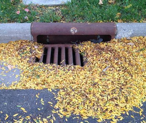 nitrogenphos In: Lawn Fertilizers and Pet Waste | Our Santa Fe River, Inc. (OSFR) | Protecting the Santa Fe River