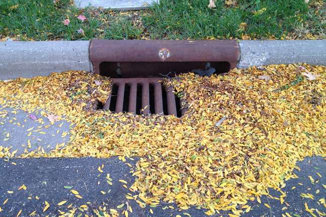 nitrogenphos In: Lawn Fertilizers and Pet Waste | Our Santa Fe River, Inc. (OSFR) | Protecting the Santa Fe River