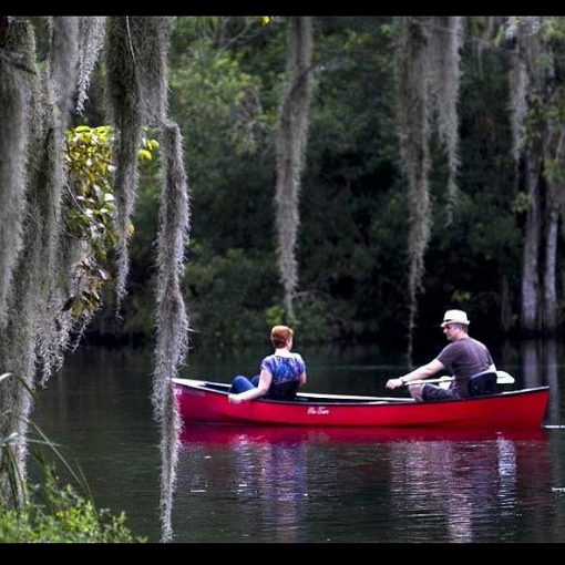 BUDDY MCKAY In: Fake Science That Has Been Manipulated By The District | Our Santa Fe River, Inc. (OSFR) | Protecting the Santa Fe River