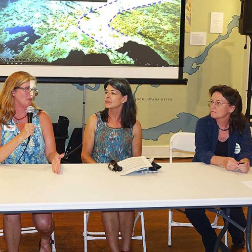 LSpanel In: "Lost Springs," Presentation by Margaret Tolbert | Our Santa Fe River, Inc. (OSFR) | Protecting the Santa Fe River