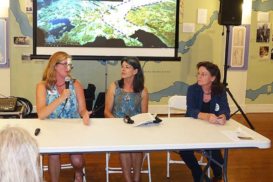 LSpanel In: "Lost Springs," Presentation by Margaret Tolbert | Our Santa Fe River, Inc. (OSFR) | Protecting the Santa Fe River