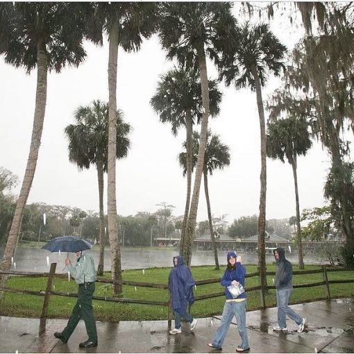 SILVERSPRINGSTOUR In: Robert Knight: Rain Alone Won’t Save Our Springs | Our Santa Fe River, Inc. (OSFR) | Protecting the Santa Fe River