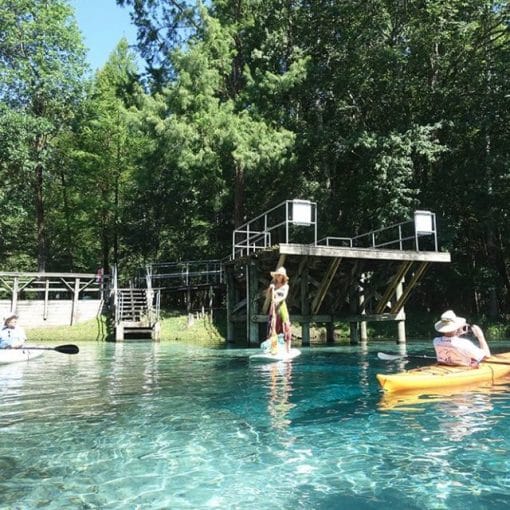 bluespringspost2 In: What Happened at Gilchrist Blue Springs? | Our Santa Fe River, Inc. (OSFR) | Protecting the Santa Fe River