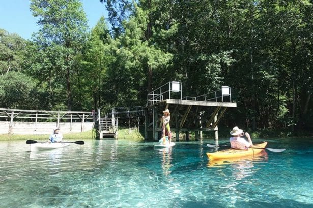 bluespringspost2 In: Gilchrist Blue Springs Will Become State Park | Our Santa Fe River, Inc. (OSFR) | Protecting the Santa Fe River