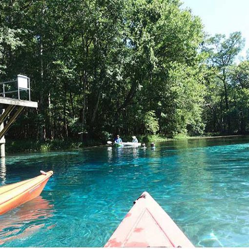 bluespringssun 1 In: For the Truth About the Springs, Don't Go to DEP | Our Santa Fe River, Inc. (OSFR) | Protecting the Santa Fe River