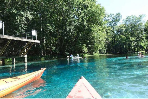 bluespringssun 1 In: DEP Announces Opening of Florida’s 175th State Park -- Gilchrist Blue Springs | Our Santa Fe River, Inc. (OSFR) | Protecting the Santa Fe River