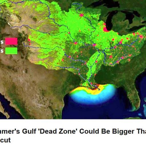 dead zone In: Agricultural Fertilizer Pollution Creates Huge Dead Zone | Our Santa Fe River, Inc. (OSFR) | Protecting the Santa Fe River
