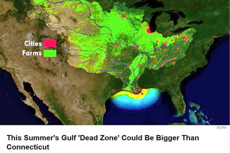 dead zone In: Agricultural Fertilizer Pollution Creates Huge Dead Zone | Our Santa Fe River, Inc. (OSFR) | Protecting the Santa Fe River