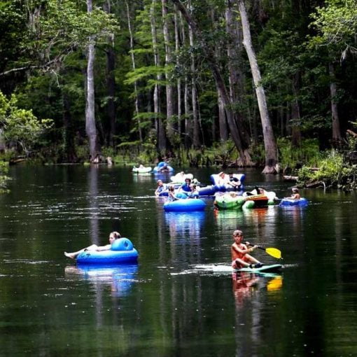 bobknight oped In: Robert Knight: Joining Hands In Support of Springs | Our Santa Fe River, Inc. (OSFR) | Protecting the Santa Fe River