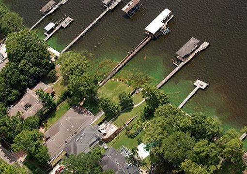 doctorslake In: Toxic Algae Close to Home | Our Santa Fe River, Inc. (OSFR) | Protecting the Santa Fe River