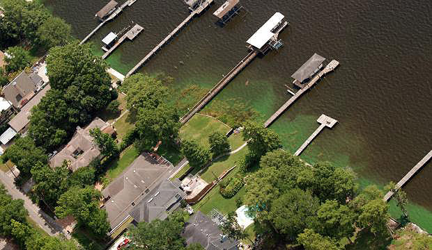 doctorslake In: Toxic Algae Close to Home | Our Santa Fe River, Inc. (OSFR) | Protecting the Santa Fe River
