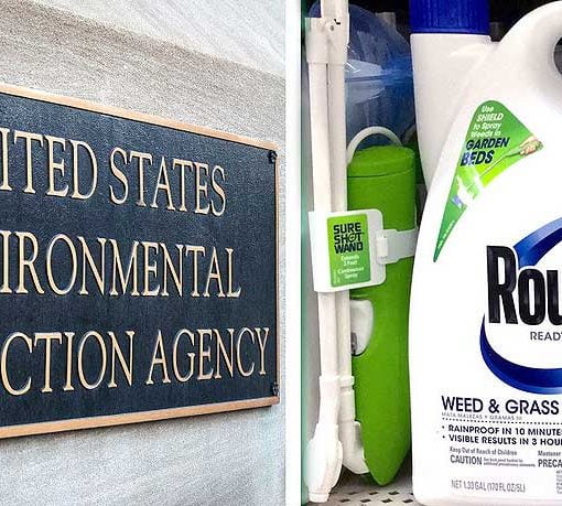 EPAmonsanto In: Large Corporations Run Our Government -- Bad Press For Monsanto and the EPA | Our Santa Fe River, Inc. (OSFR) | Protecting the Santa Fe River