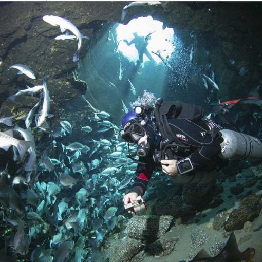 Salt springs In: State bill requests $125 million to help springs, St. Johns River | Our Santa Fe River, Inc. (OSFR) | Protecting the Santa Fe River