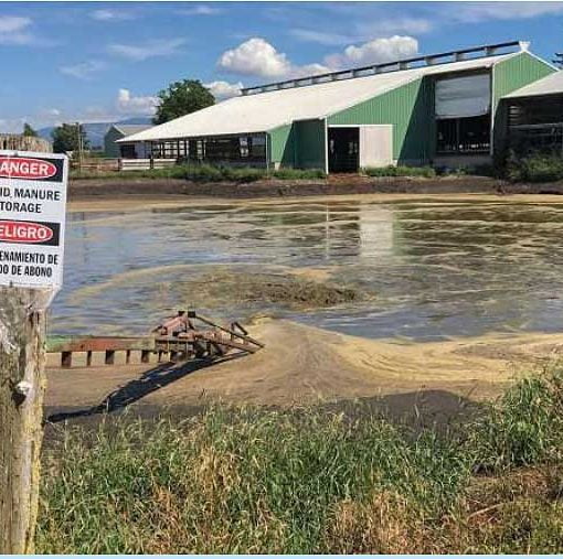 dairy manure pond In: Farming activity contaminates water despite best practices | Our Santa Fe River, Inc. (OSFR) | Protecting the Santa Fe River