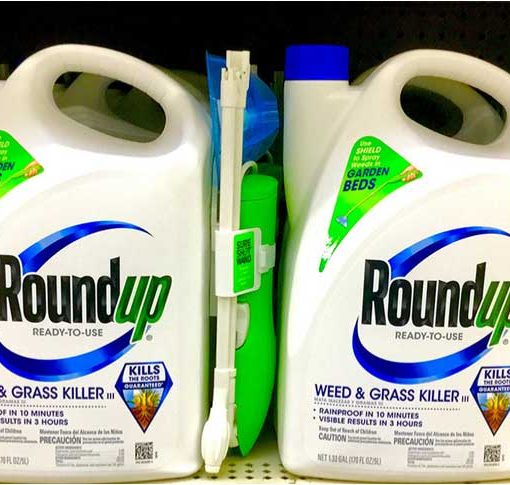 monsantoarticle In: Monsanto Has No Shame | Our Santa Fe River, Inc. (OSFR) | Protecting the Santa Fe River