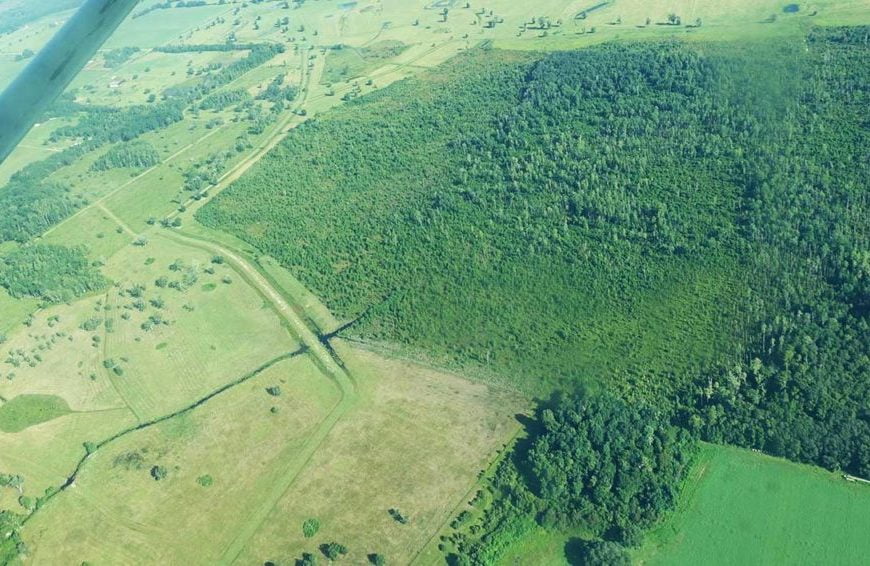 HPflyfernpond In: Thumbs down for state plan | Our Santa Fe River, Inc. (OSFR) | Protecting the Santa Fe River