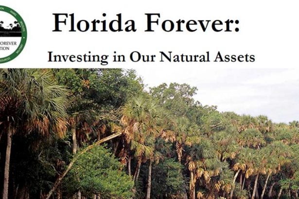 floridaforever In: Bradley requests $100M a year for Florida Forever | Our Santa Fe River, Inc. (OSFR) | Protecting the Santa Fe River