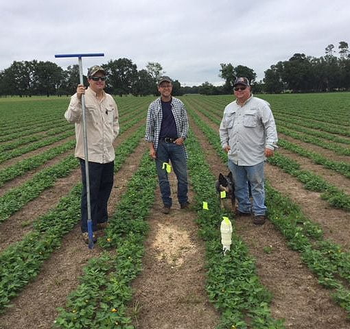 suwannee soil sensors In: Small Good Step But No Cure | Our Santa Fe River, Inc. (OSFR) | Protecting the Santa Fe River