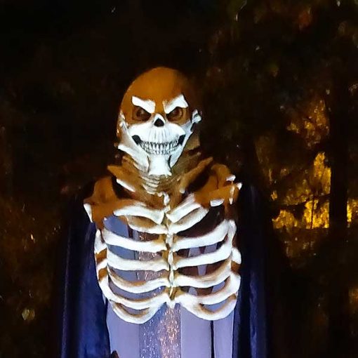 rumhalloween5 In: Haunted Graveyard by Madness & Mayhem and Rum 138 Benefitting OSFR and Sunrise Wildlife Rehabilitation | Our Santa Fe River, Inc. (OSFR) | Protecting the Santa Fe River