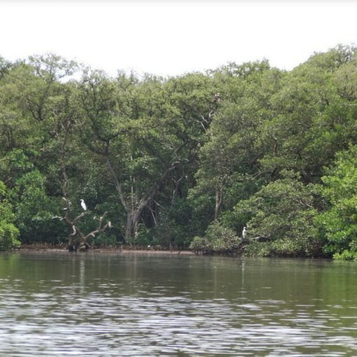 aqua by the bay In: Developers Will Just Not Give Up --- Now The DEP Is On Their Side | Our Santa Fe River, Inc. (OSFR) | Protecting the Santa Fe River