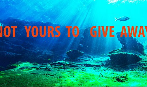 SILVER SPRGS GIVEAWAYFI In: Not Yours to Give Away | Our Santa Fe River, Inc. (OSFR) | Protecting the Santa Fe River