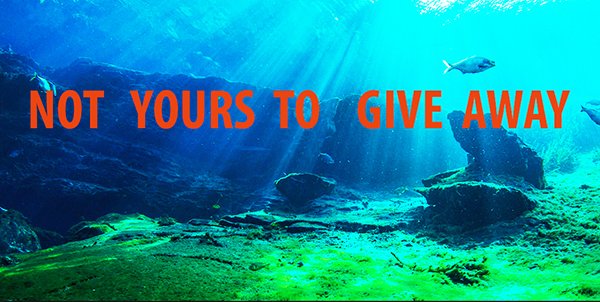 SILVER SPRGS GIVEAWAYFI In: Not Yours to Give Away | Our Santa Fe River, Inc. (OSFR) | Protecting the Santa Fe River