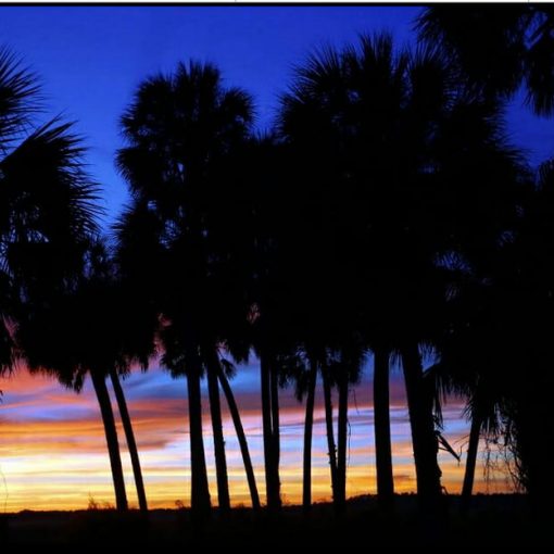 flor forever photo In: Editorial: Demand full funding for Florida Forever | Our Santa Fe River, Inc. (OSFR) | Protecting the Santa Fe River